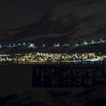 Tromso 2014 02