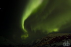 Tromso 2014 22