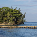 Jamaika 2014 05