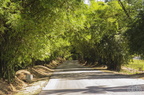 Jamaika 2014 50