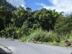 Jamaika 2014 52